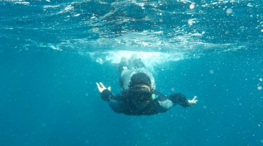 Plongée sous marine à la Ciotat - Etape saint thomas Aubagne