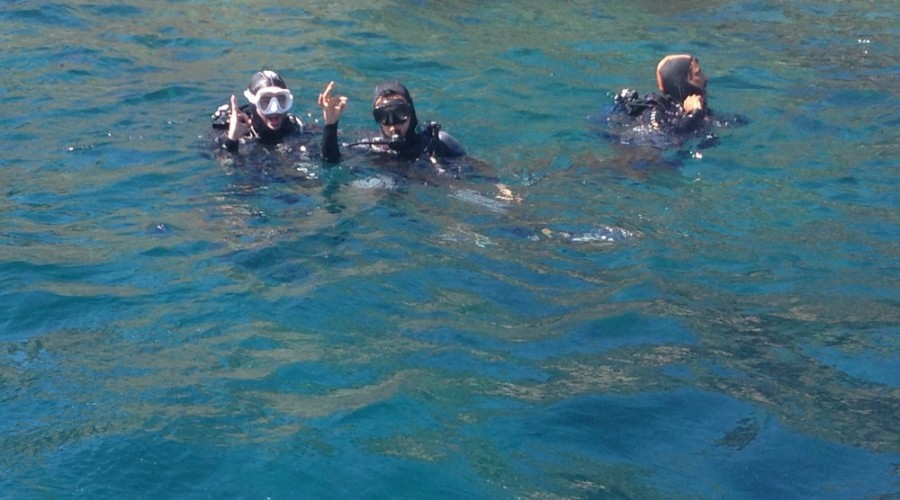 Plongée sous marine à la Ciotat - Etape saint thomas Aubagne